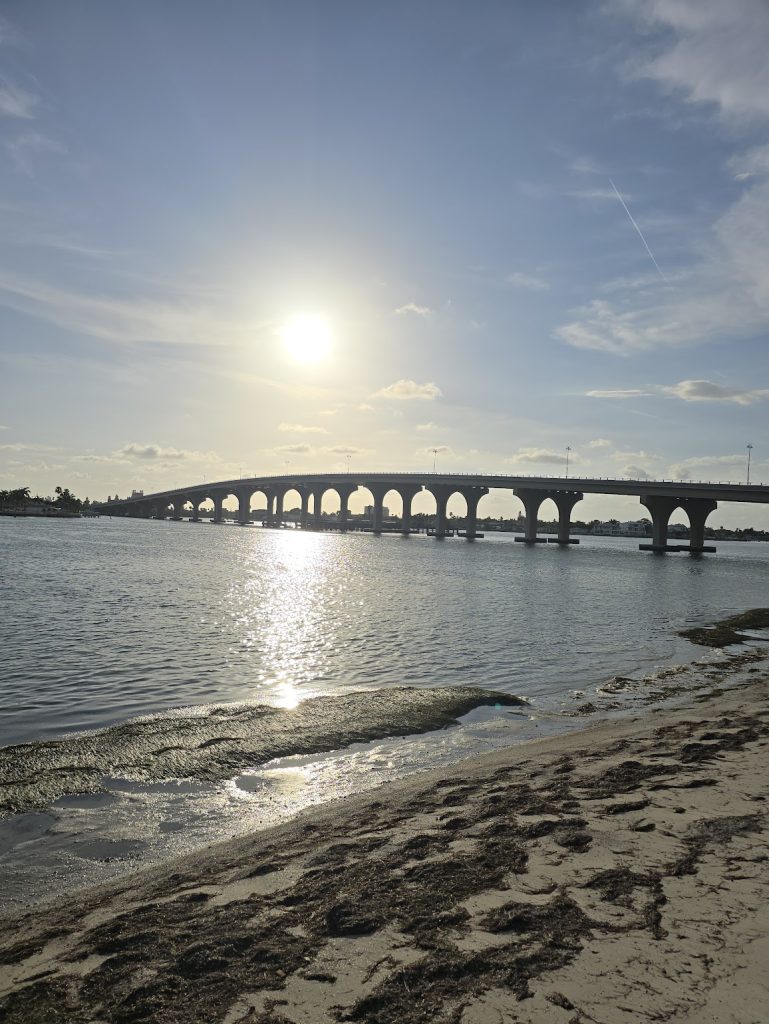 things to do st pete