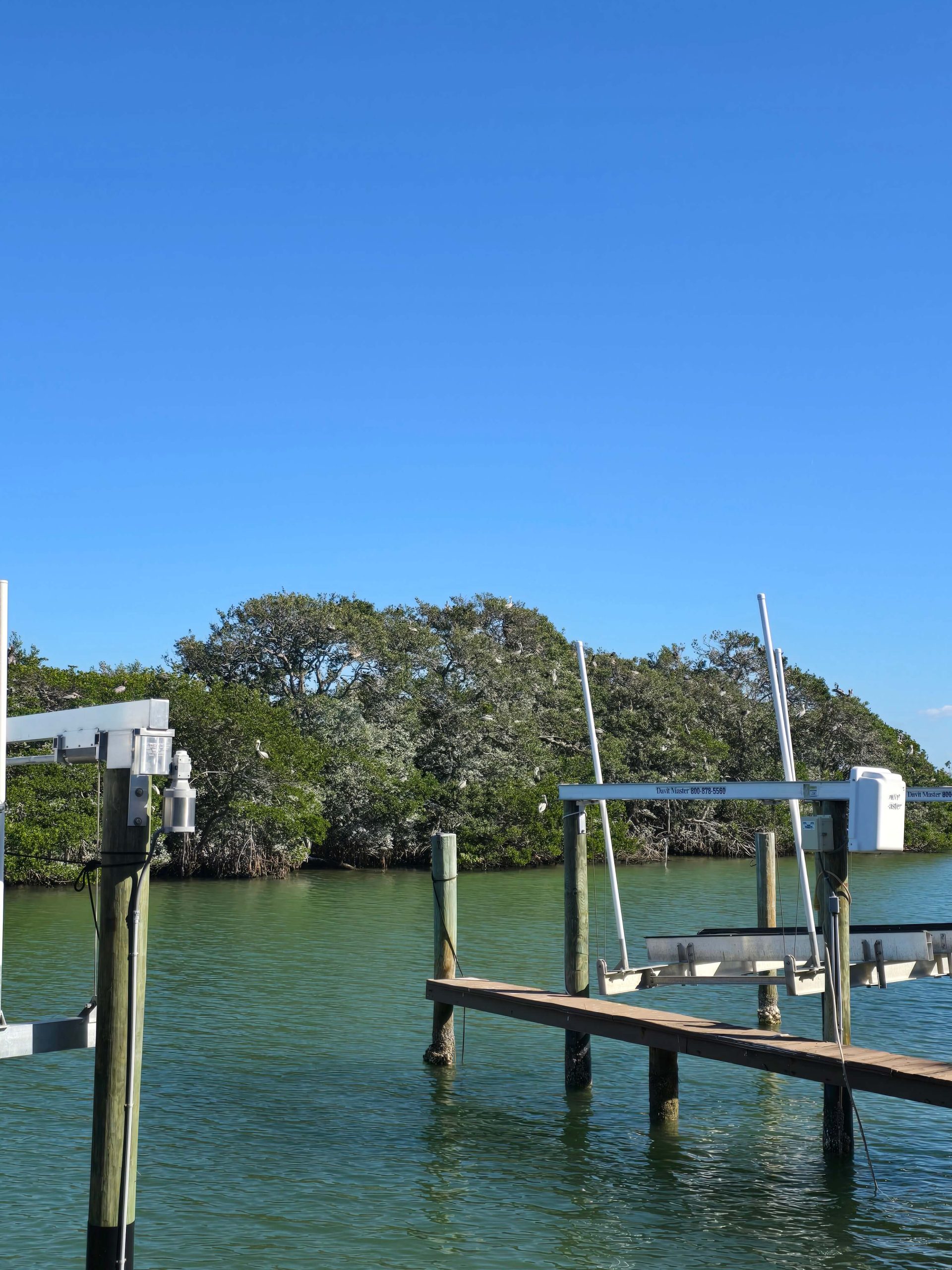 Wooden boat dock extending over calm green water
