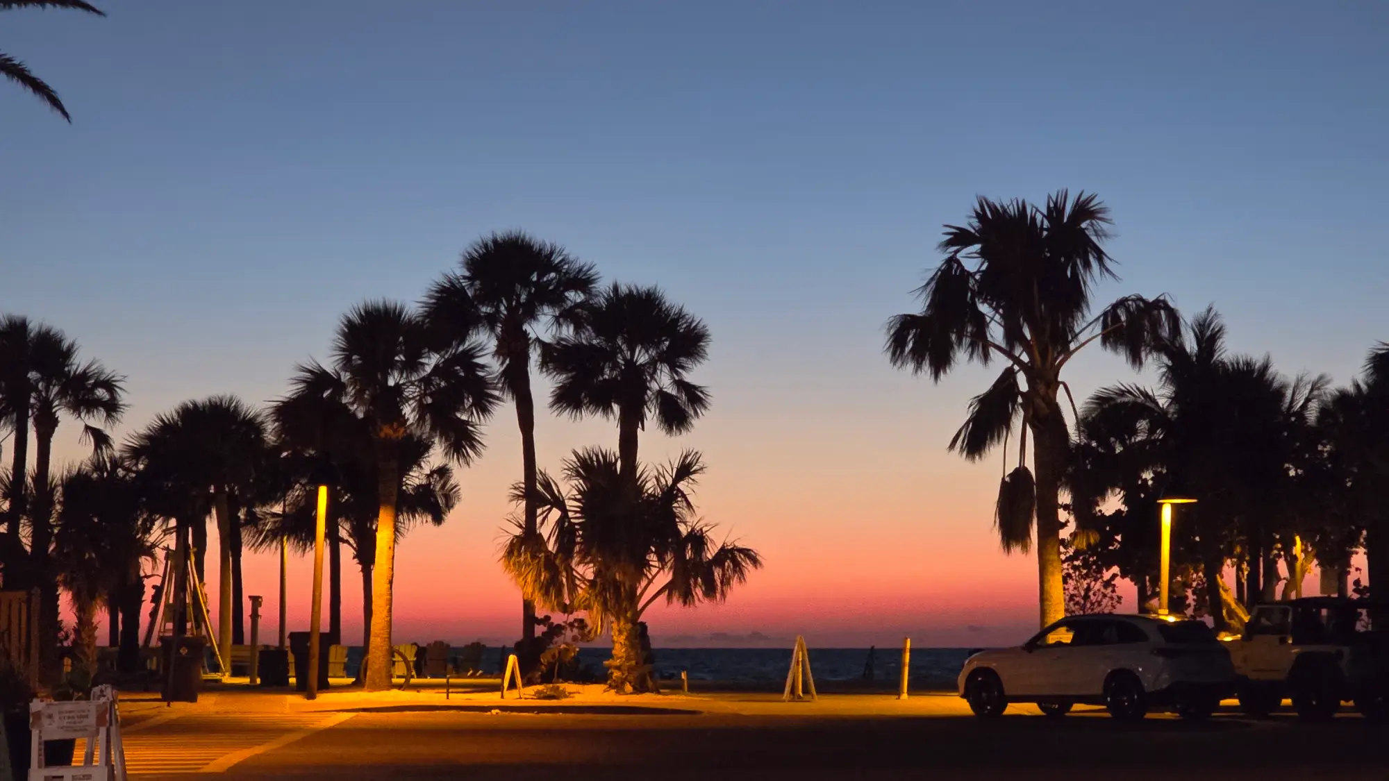 Coastal sunset with palm trees silhouetted against a vibrant pink and blue sky