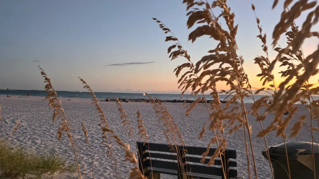 Peaceful beach sunset with sea oats swaying in the breeze