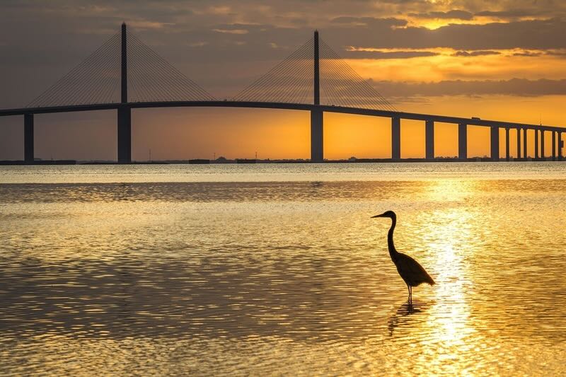 Beach Access & Coastal Lifestyle​