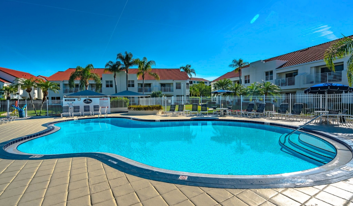 curved outdoor swimming pool surrounded by lounge chairs