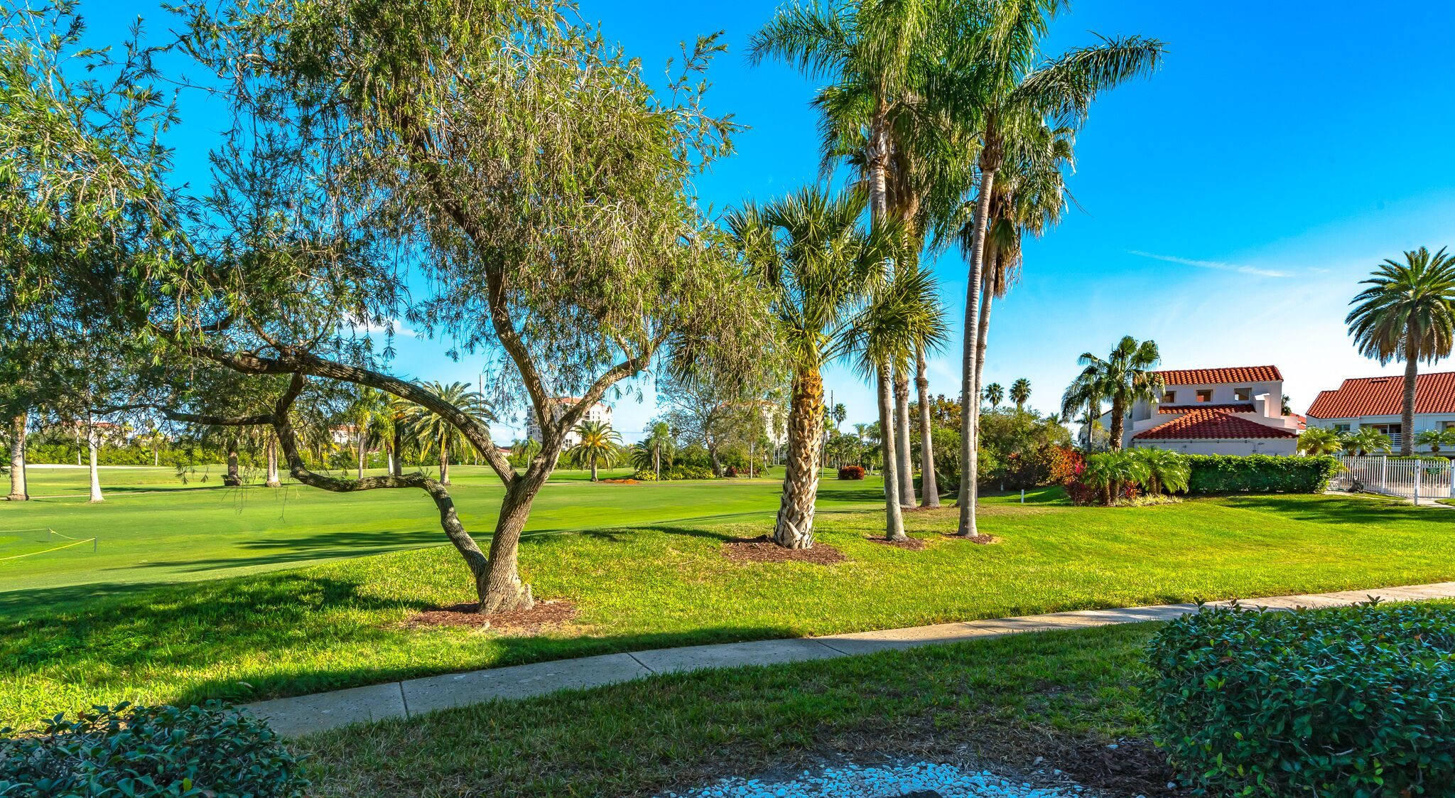 sunny view of a golf course
