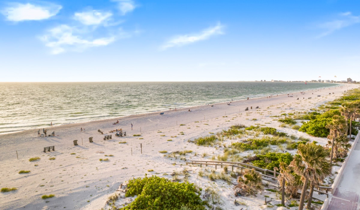 aerial view of the beach